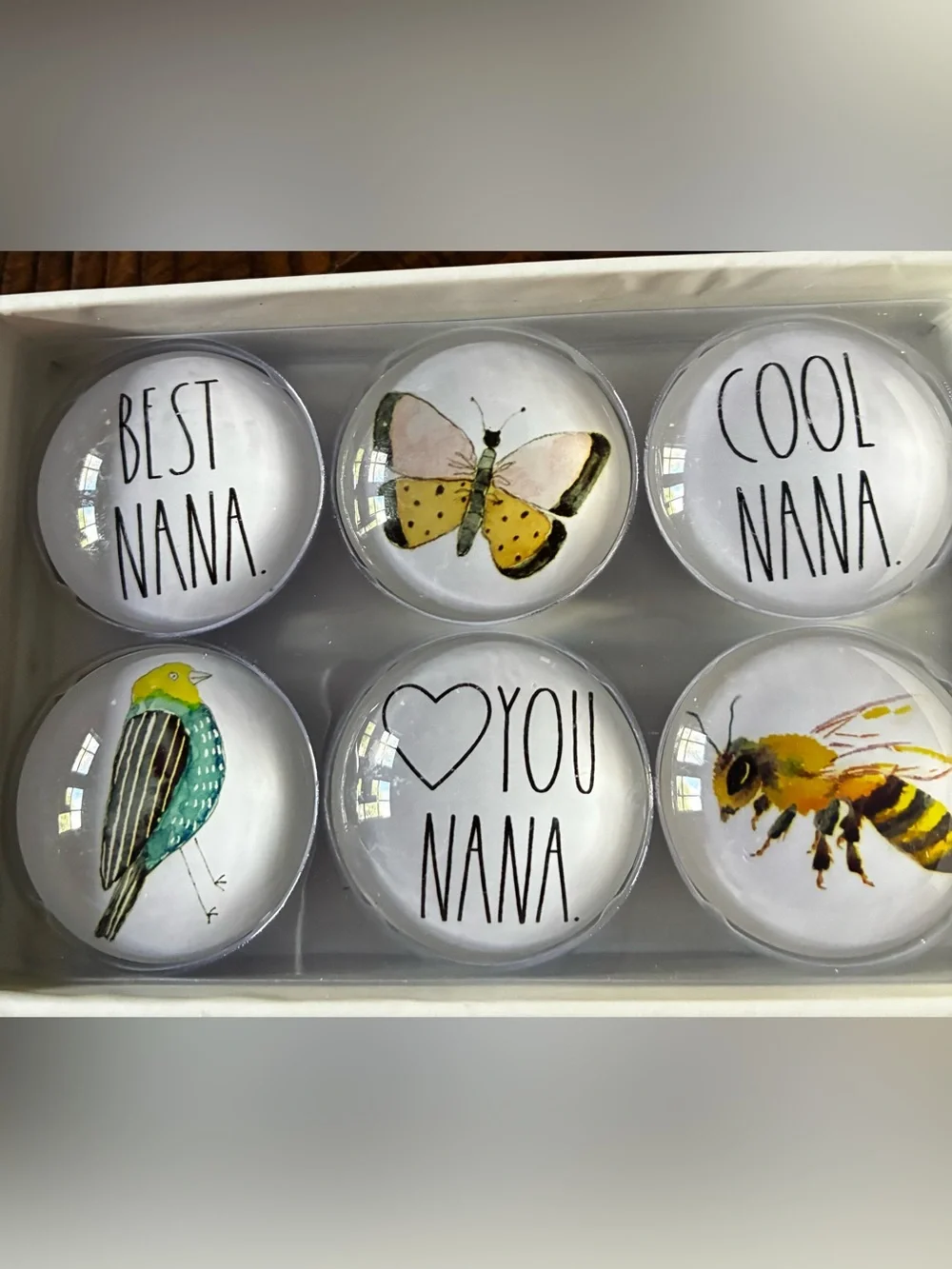 Rae Dunn White Magnet Set with Multicolor Bird, Butterfly & Bee Accents